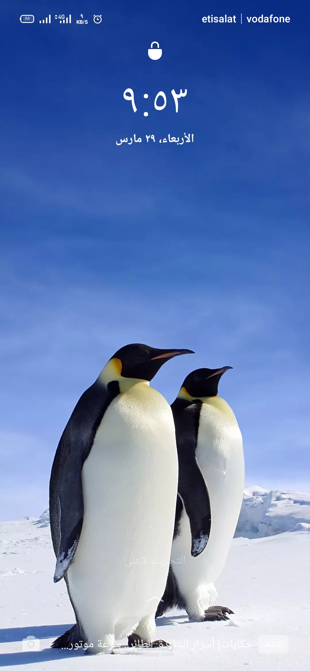 Cost accountant مستقل