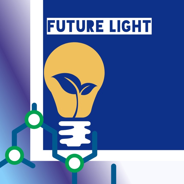 Future light شركة