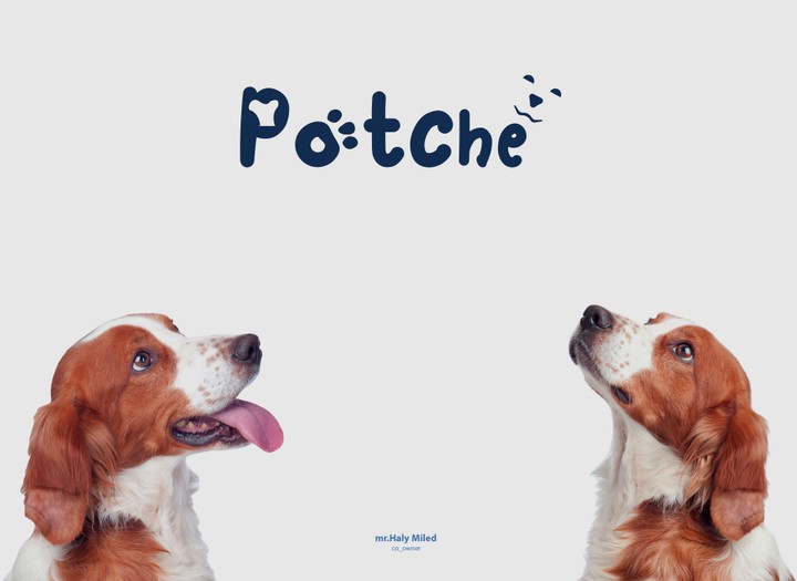 brand_Potche