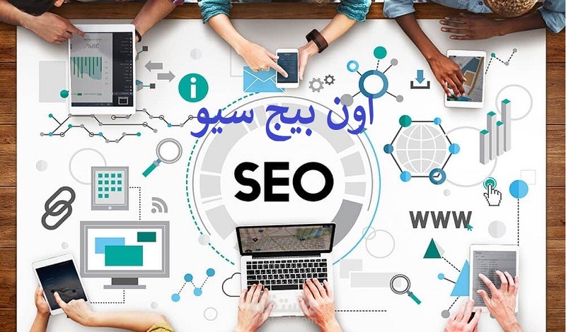 تقرير الاون بيج لمتجر جنى الجنوب - On-Page Seo