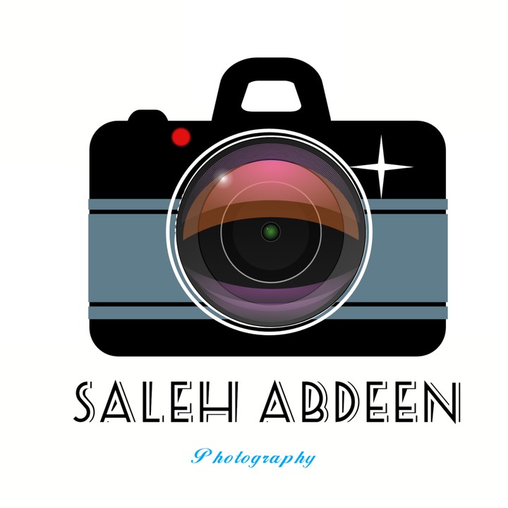 Saleh Abdeen logo