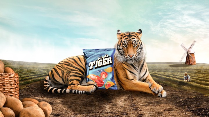 Tiger chips