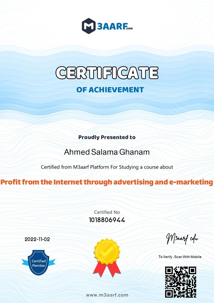 profit from the internet through advertising and e-marketing