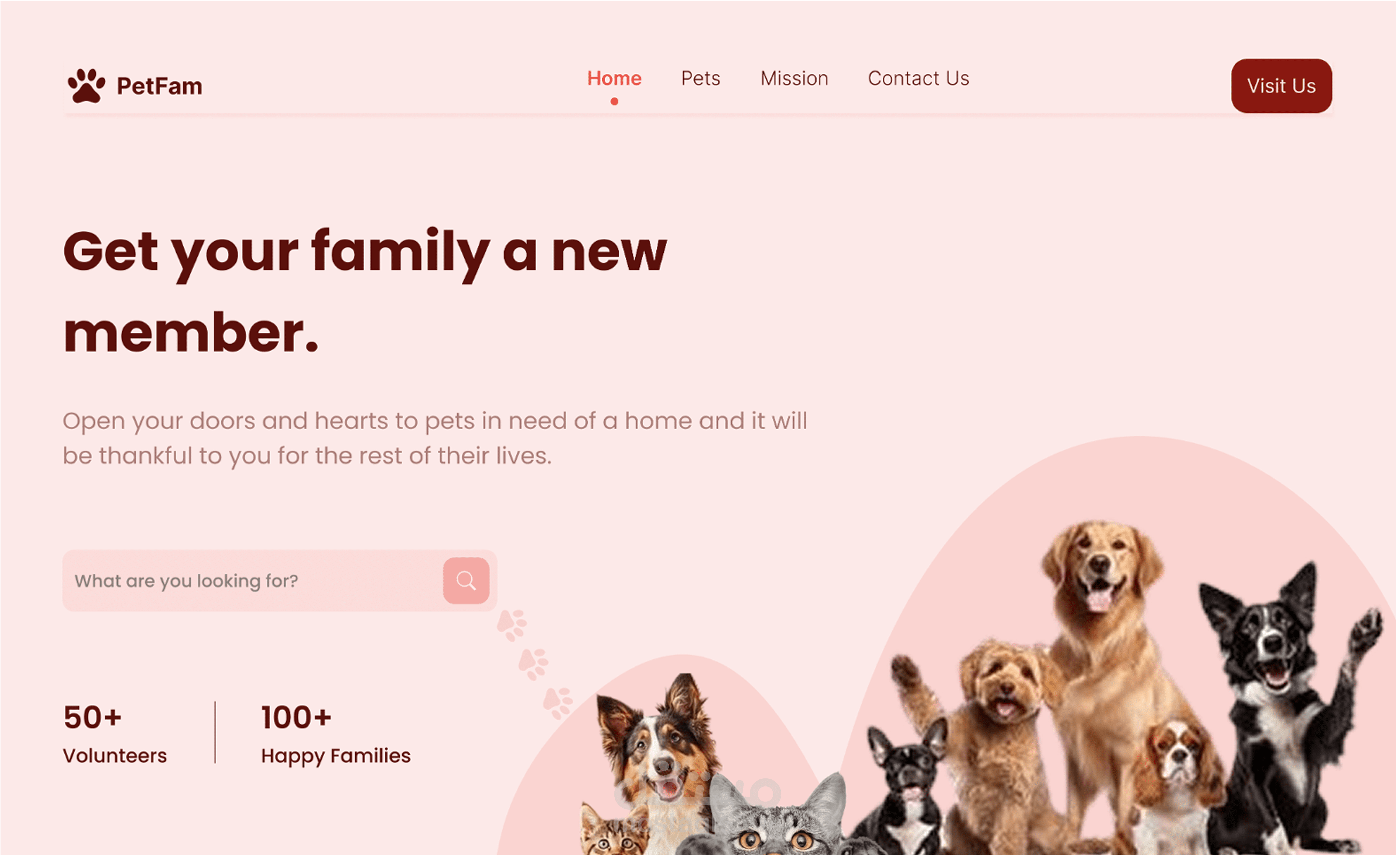 مشروع تصميم الصفحة الرئيسيه لموقع تبني حيوانات اليفه - landing page for pet adoption