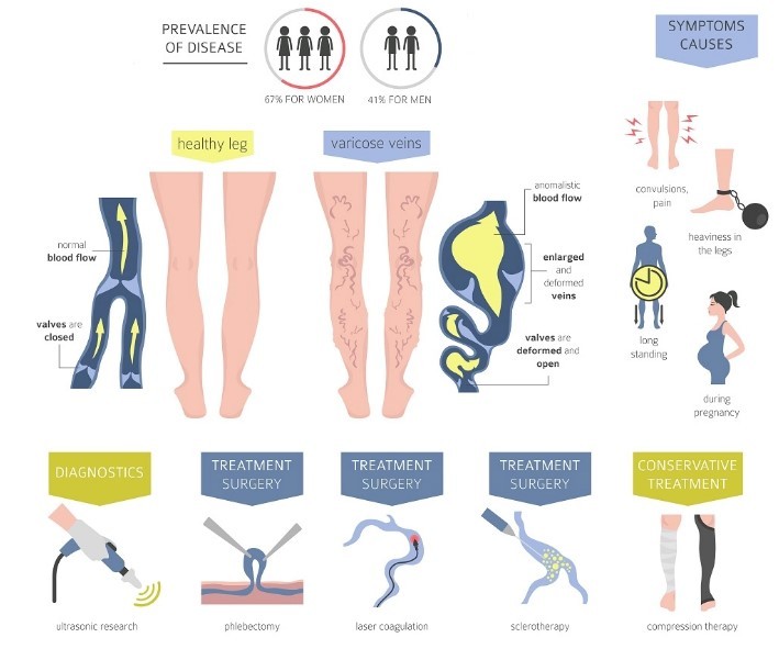 medical word about venous disorders for medical students