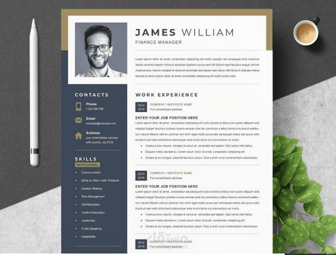 تصميم سيرة ذاتية احترافية - professional cv