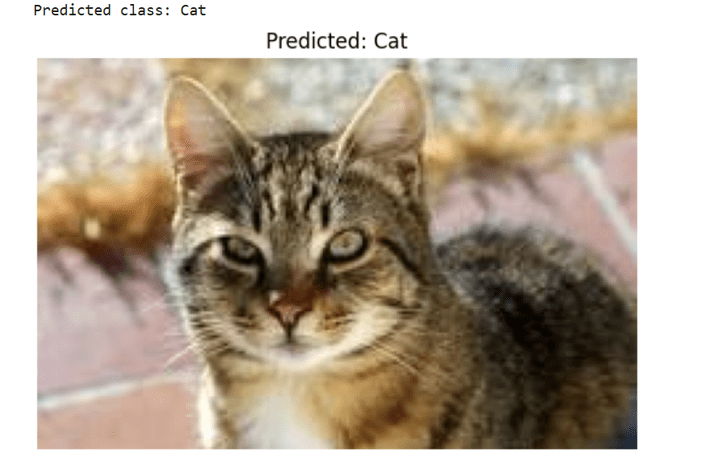 SVM-Based Image Classification for Cats and Dogs