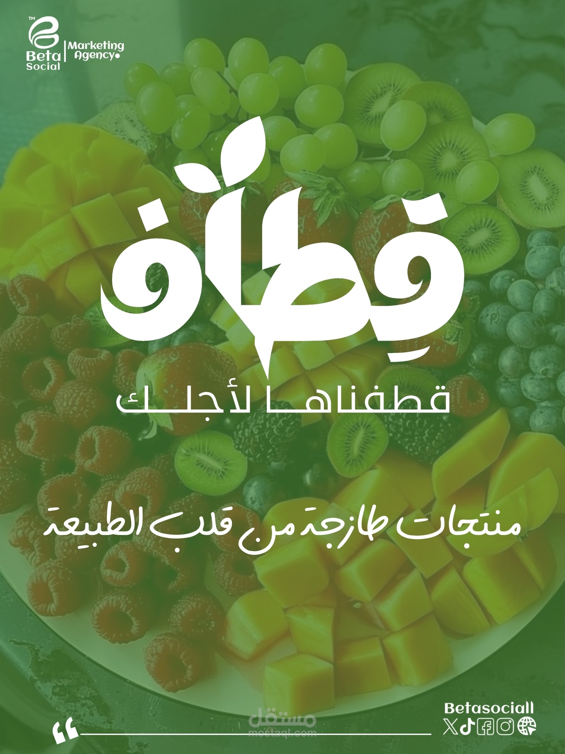 "قِطاف"... علامة صنعناها بإبداع!