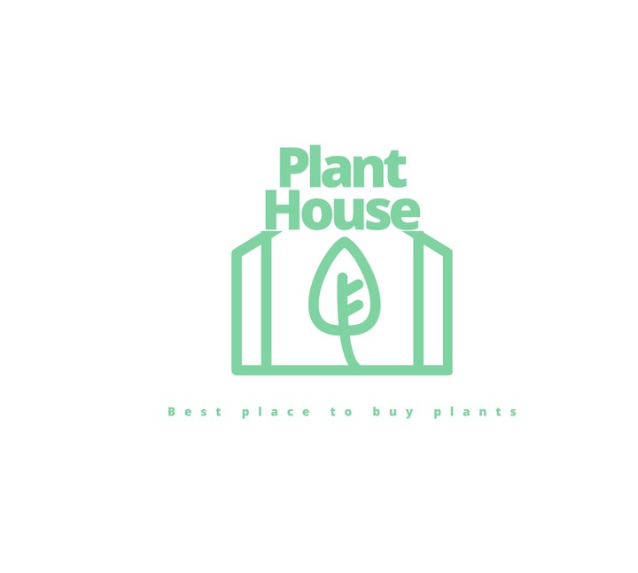 Plants shop logo