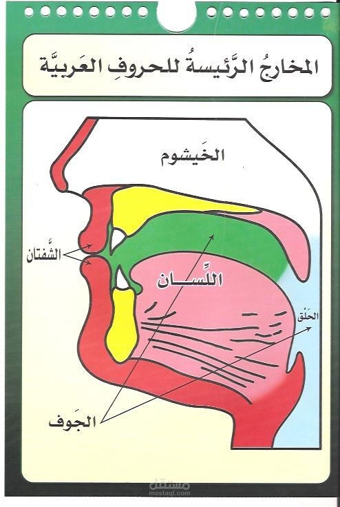 المخارج الرئيسية العامة للحروف