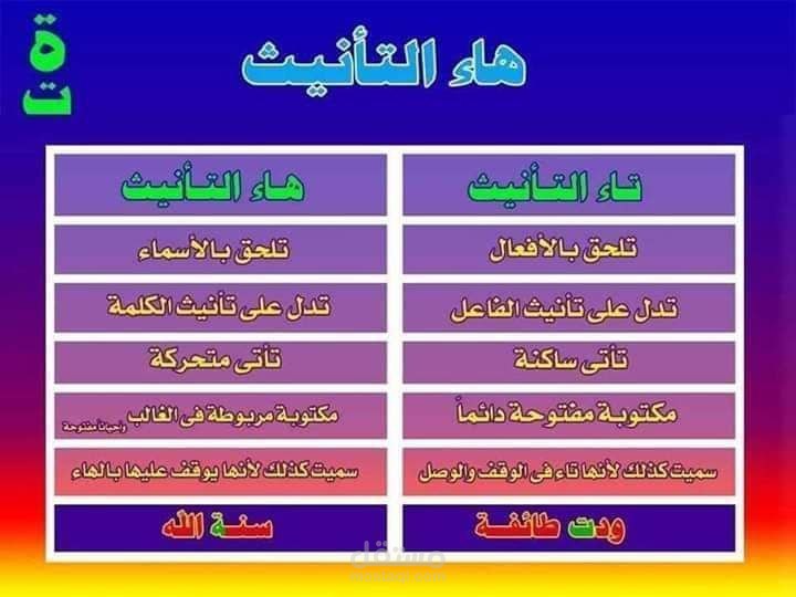 شرح تاء التأنيث وهاء التأنيث والفرق بينهما.