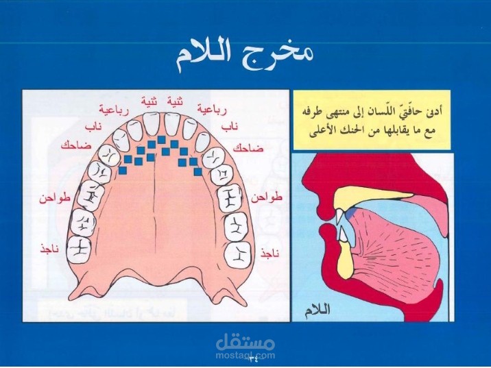 مخرج اللام وصفاته...