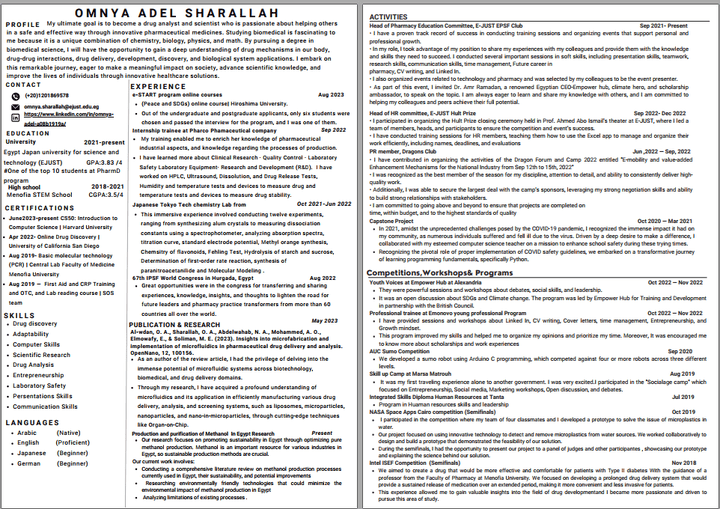 professional CV and Resume