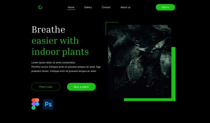 Website of the indoor plant store