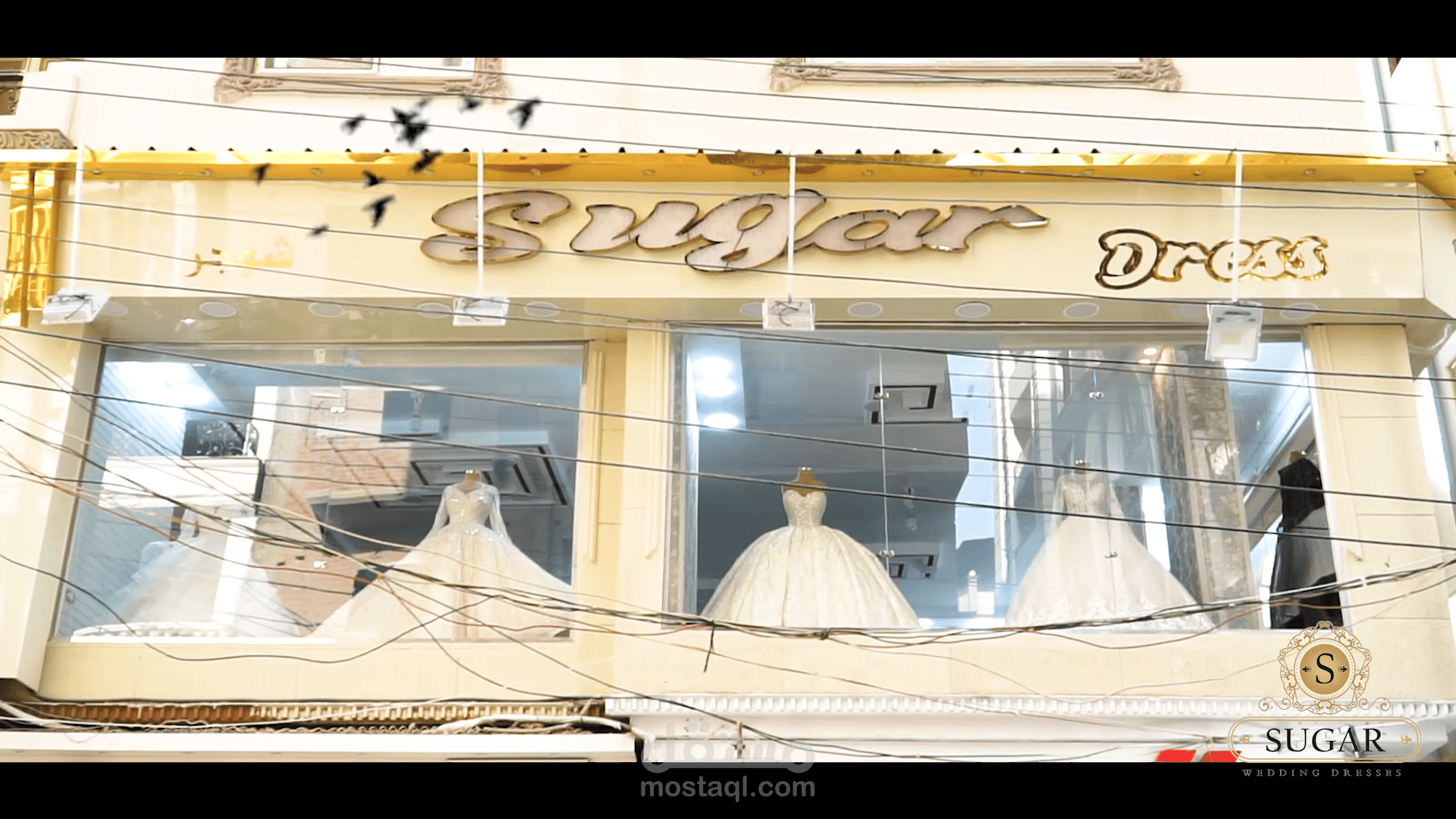 simple video editing for dresses store مستقل