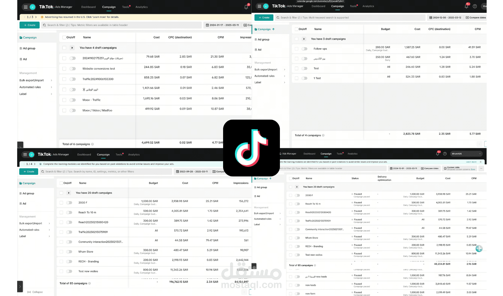 حملة إعلانية على تيك توك - TikTok Ads