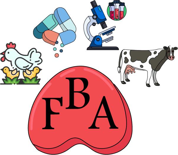 FBA academy