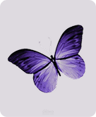 Lupira App