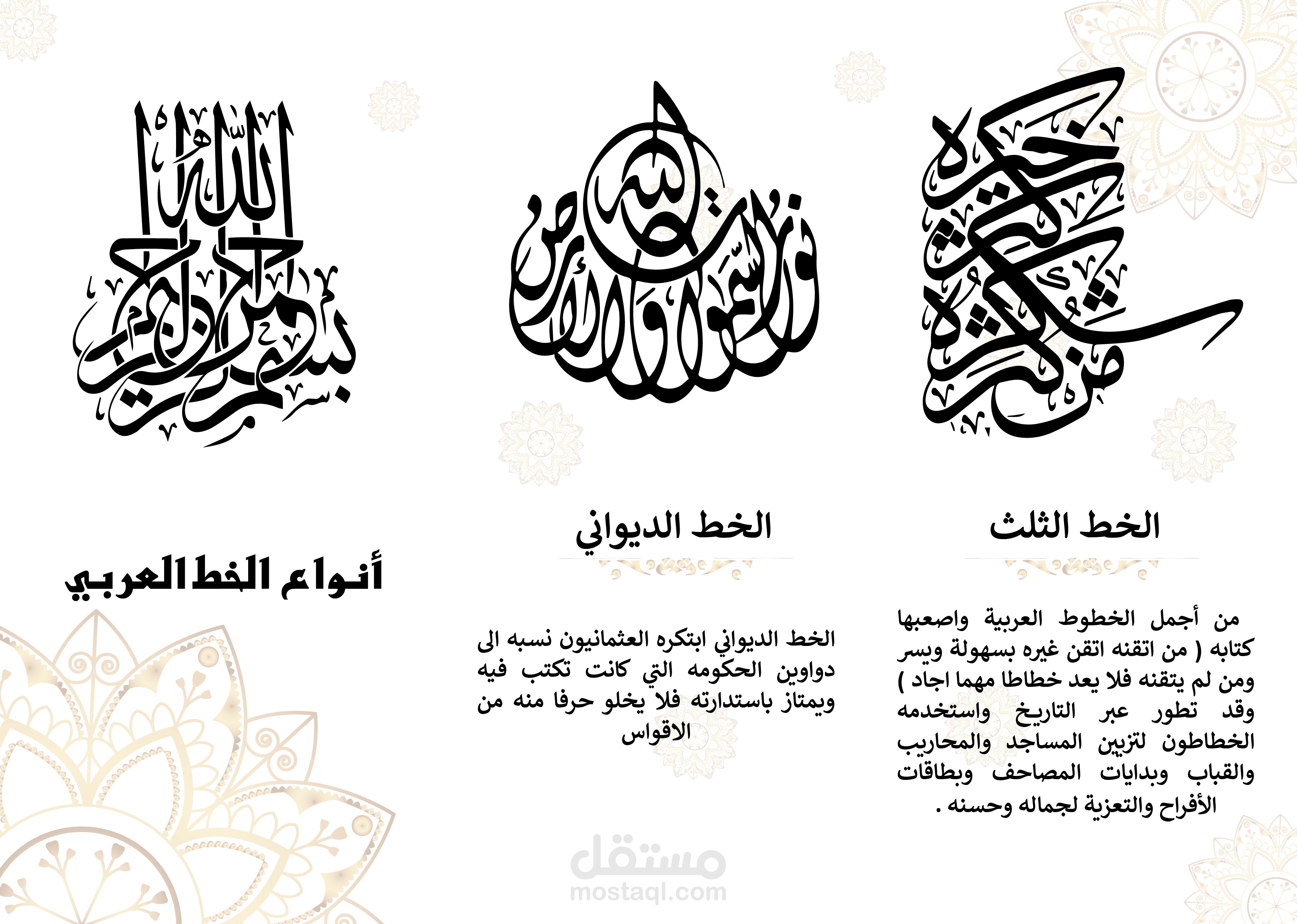 Brochure ( بروشور)