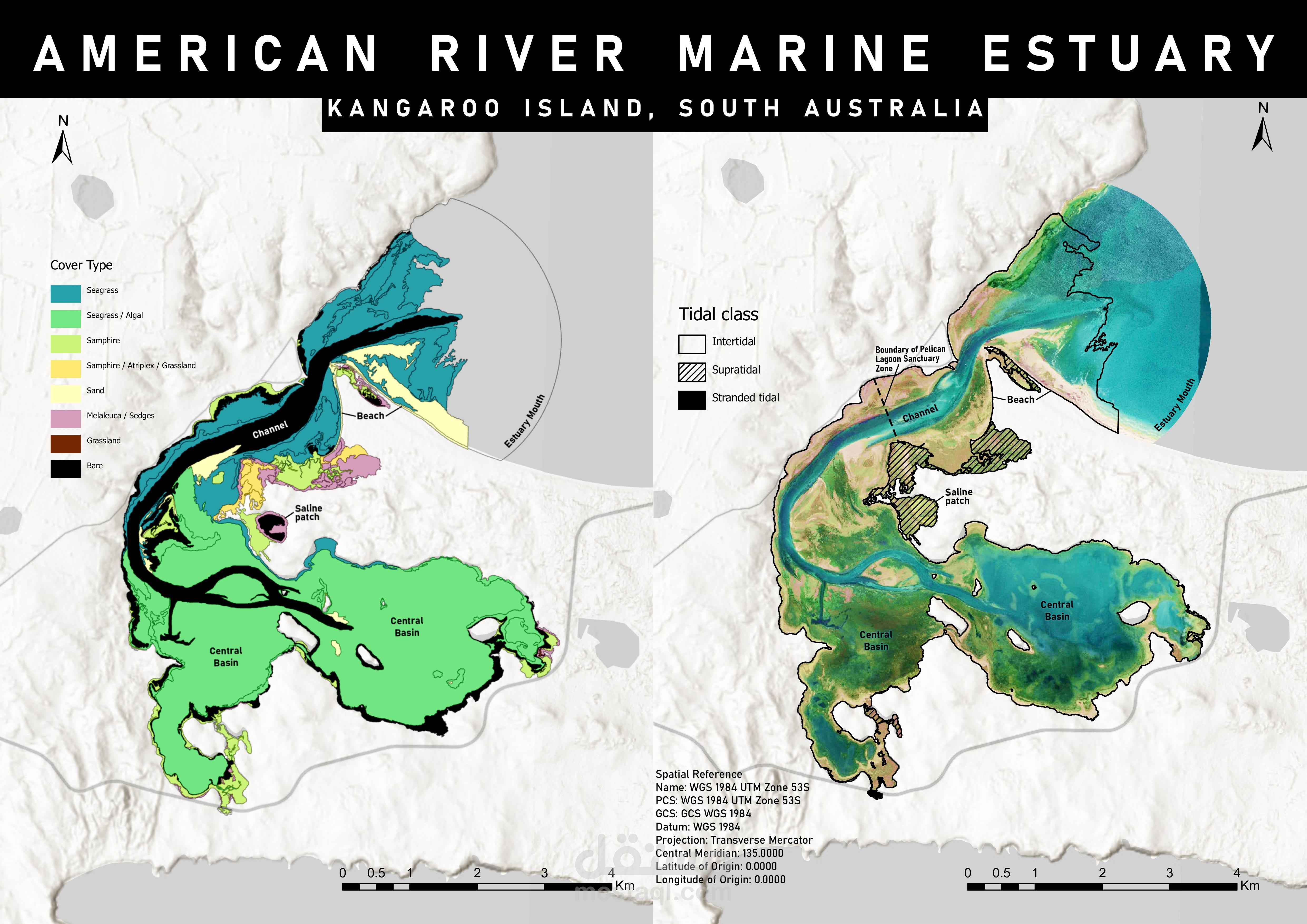 American River Marine Estuary: Spatial Analysis of Cover Types and Tidal Classes on Kangaroo Island, South Australia.