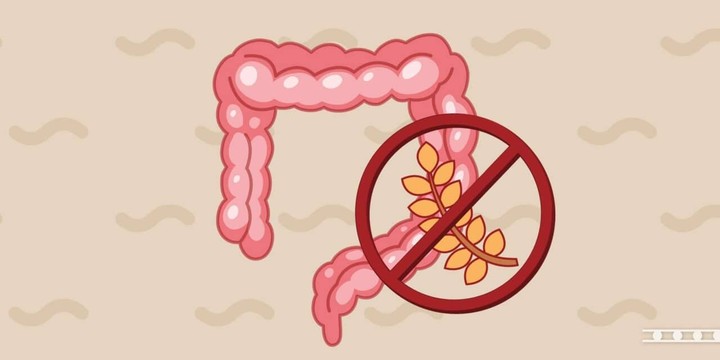 ترجمة قسم الداء البطني (الزلاقي) من مرجع Sleisenger & Fordtran’s Gastrointestinal and Liver Disease