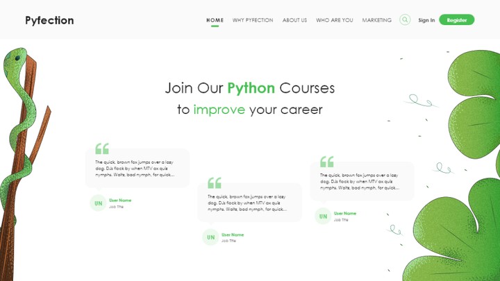 python website