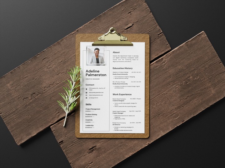 تصميم سيرة ذاتية ( CV - resume )