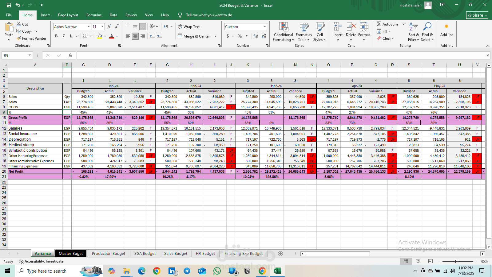 Budget & Variance