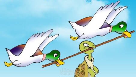 الغباء