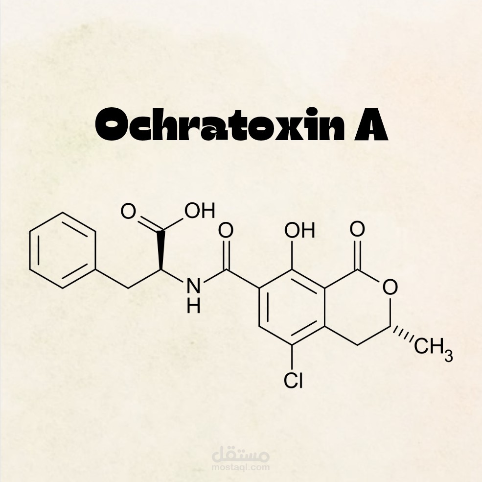 بحث علمي مصغر عن السموم الفطرية ochratoxin A