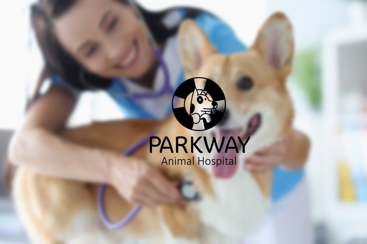 Parkway Animal Hospital Rebranding