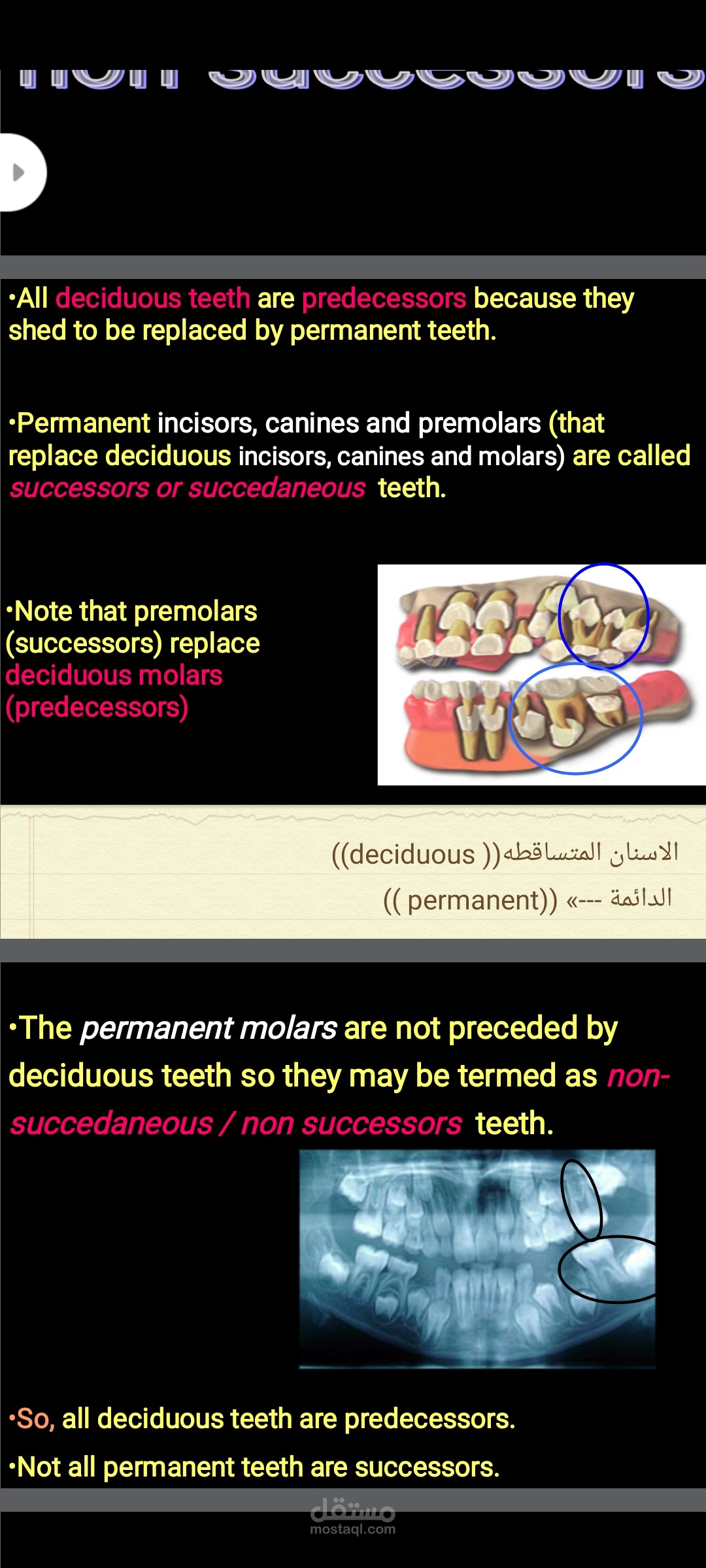 كتابه المقالات والمحتوى