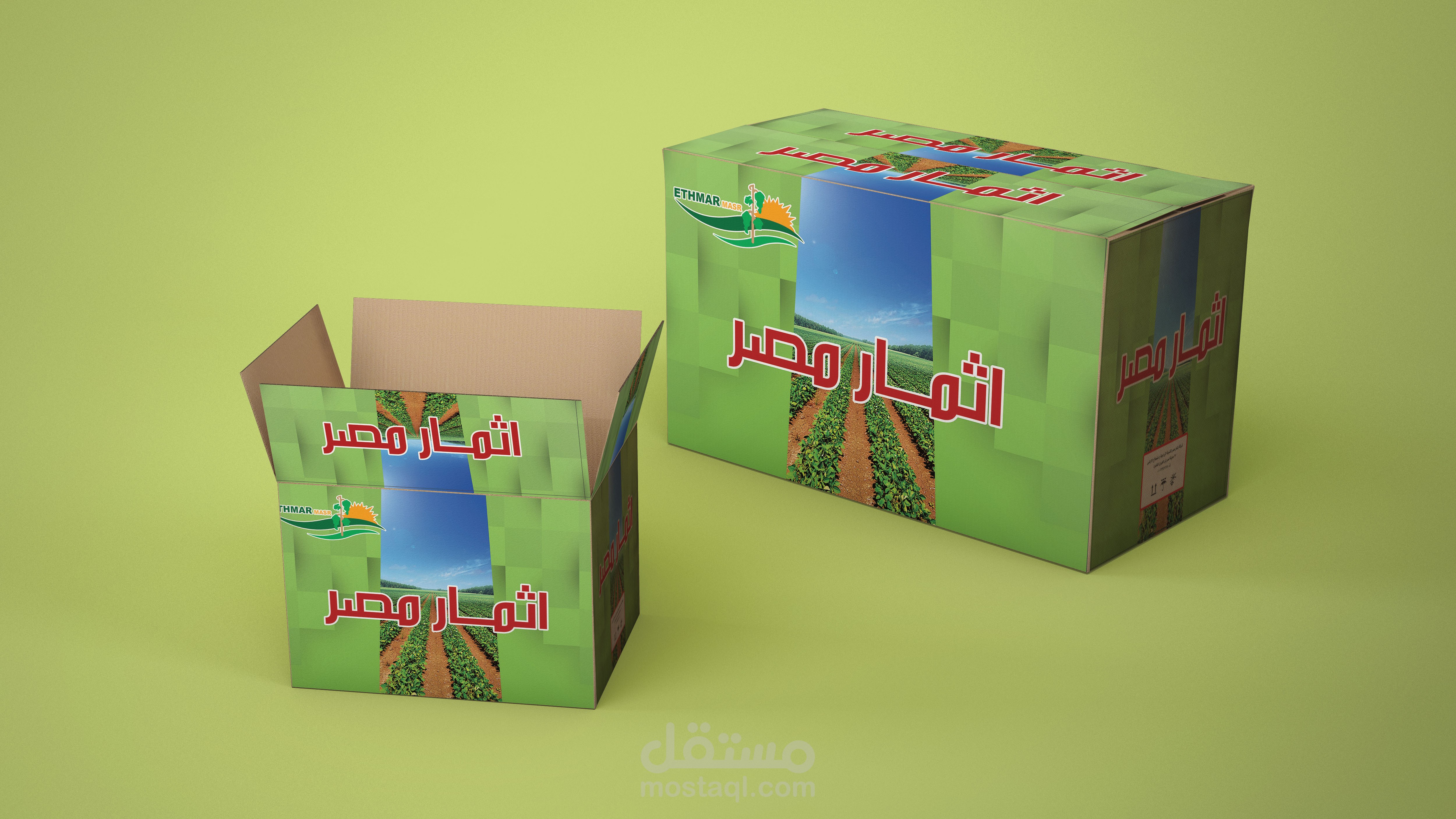 تصميم عبوات الكرتون المضلع