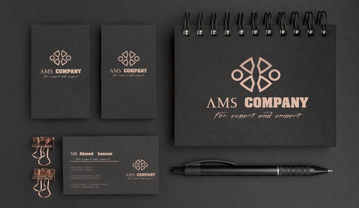 AMS Company