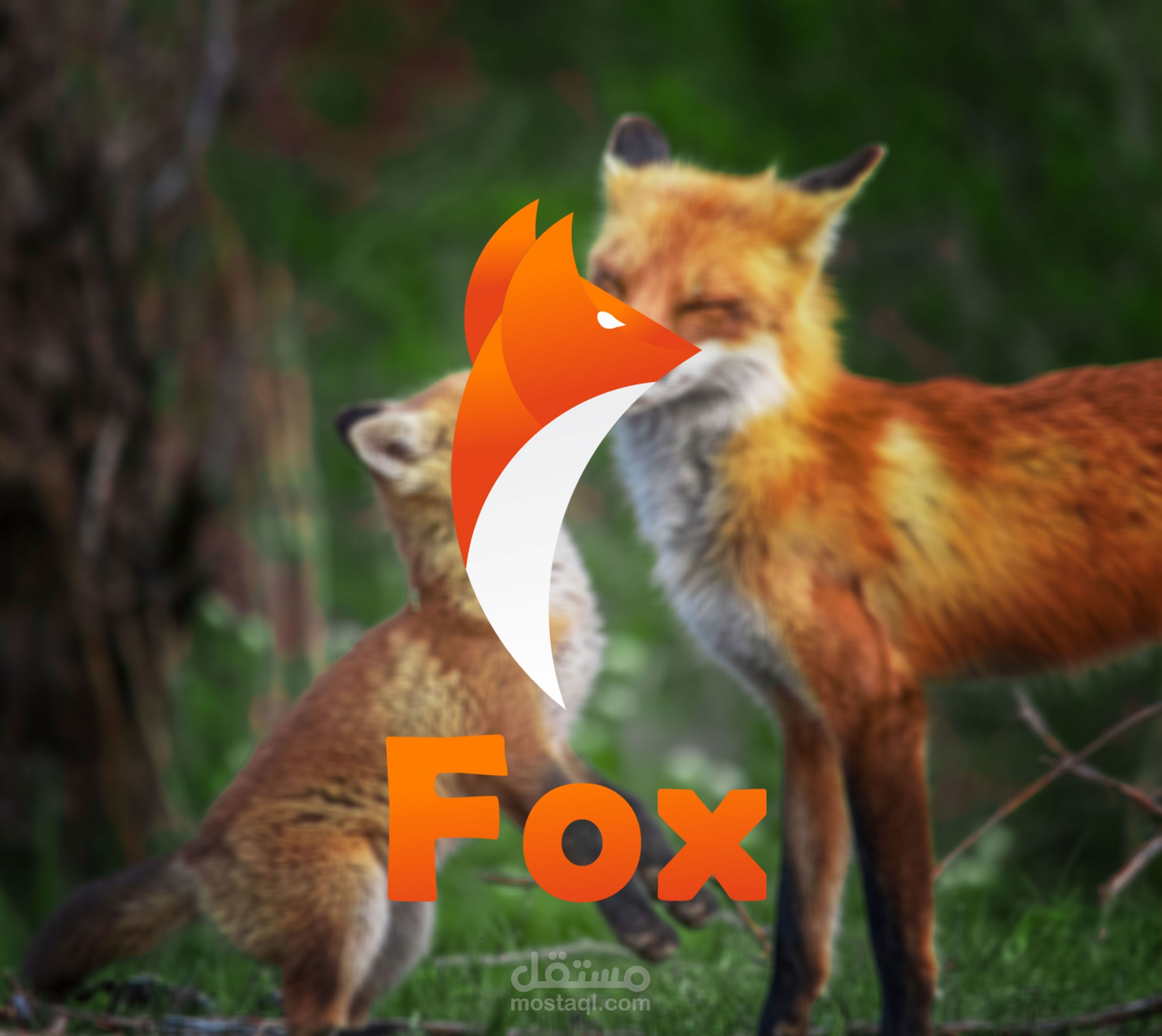 FOX visual identity