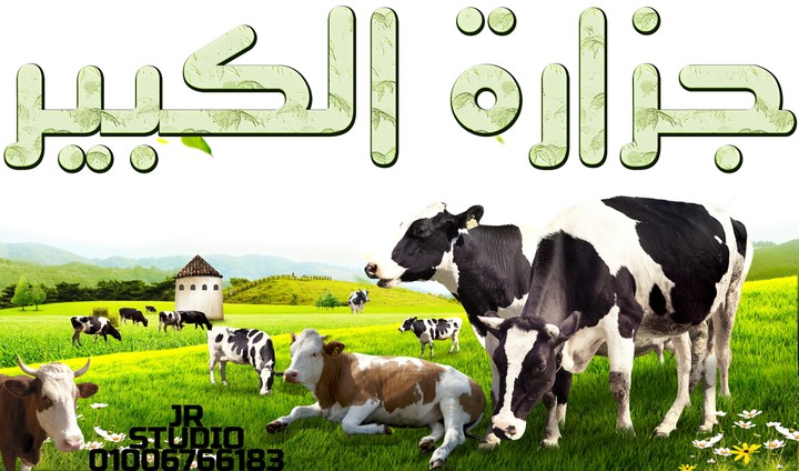 جزارة الكبير