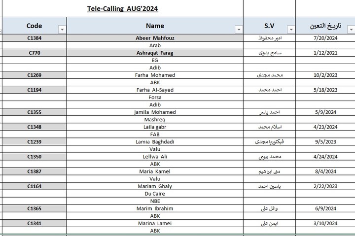 Tele calling data