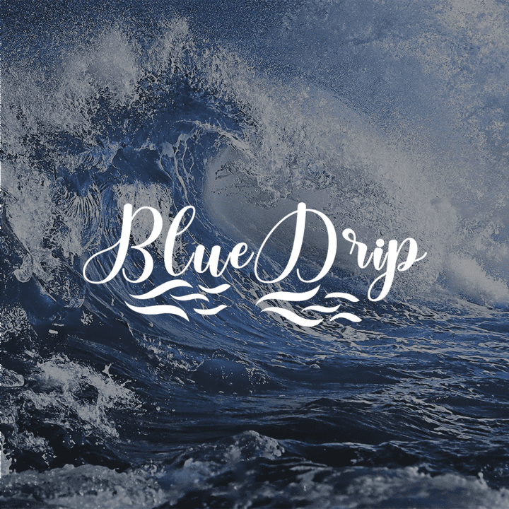 Brand Identity Bluedrip