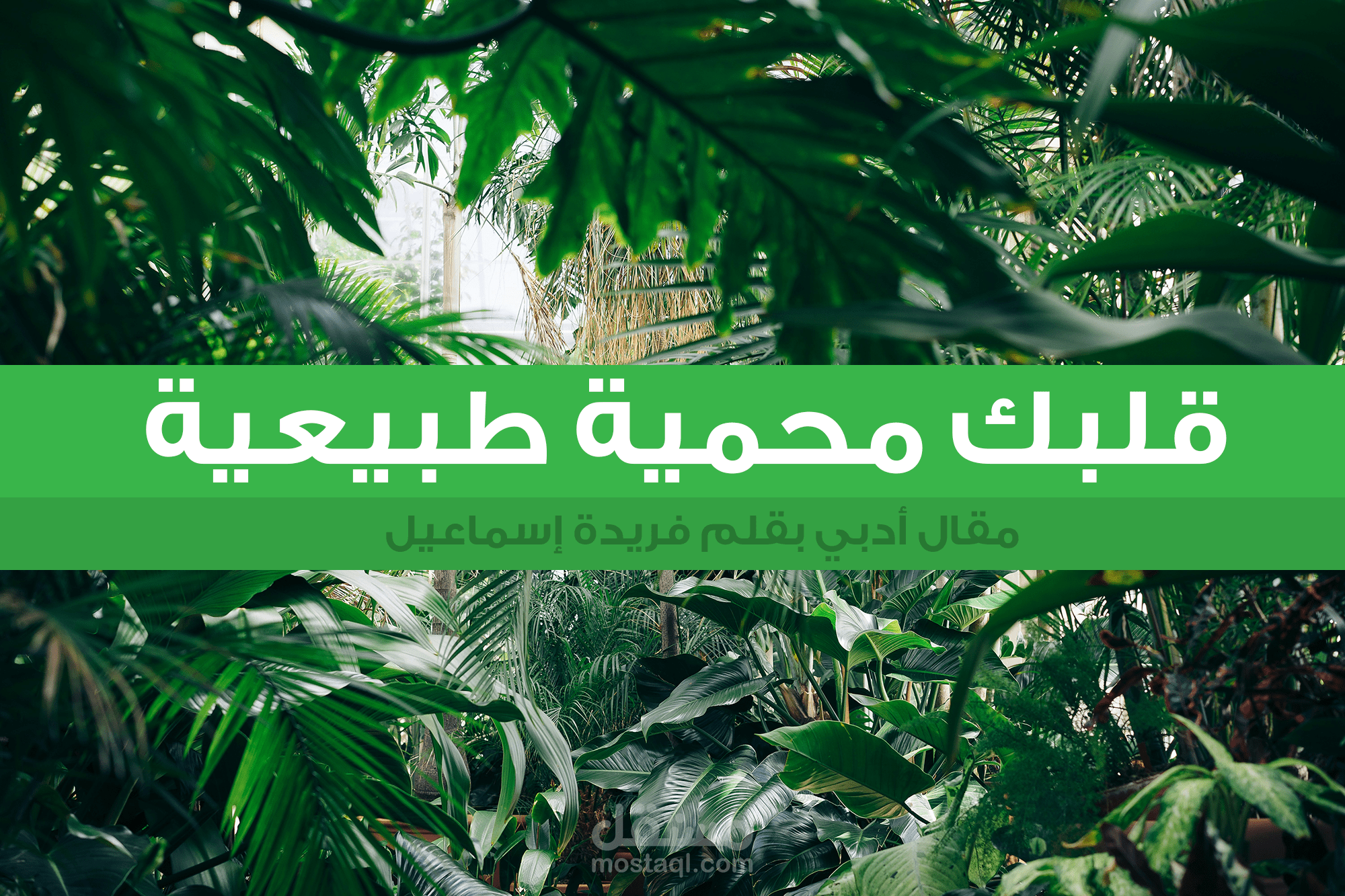 مقال أدبي تأملي