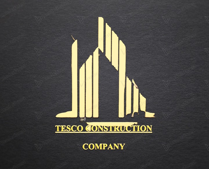 Professional logo design for a construction company