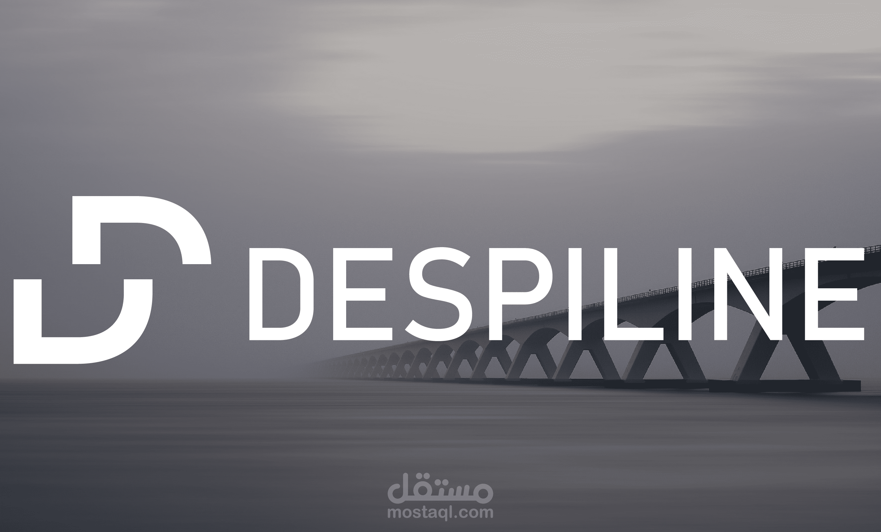 brand identity_ despiline