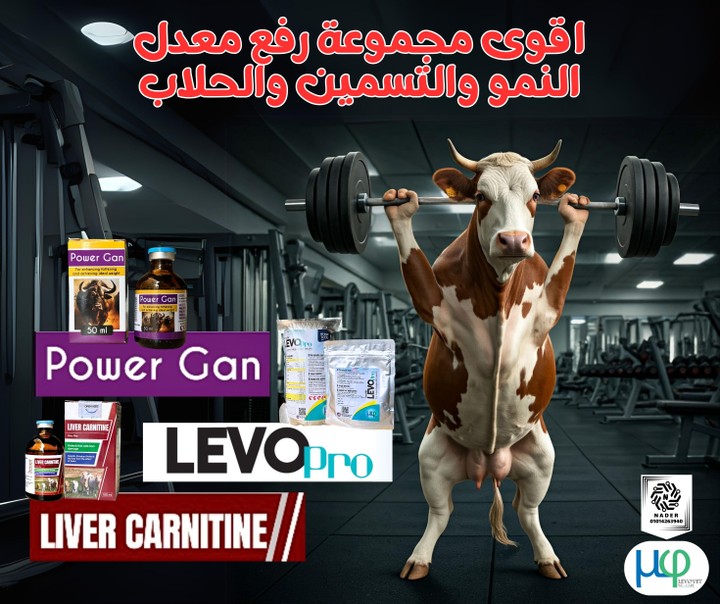 تصميمات سوشيال ميديا فى مجال الطب البيطرى