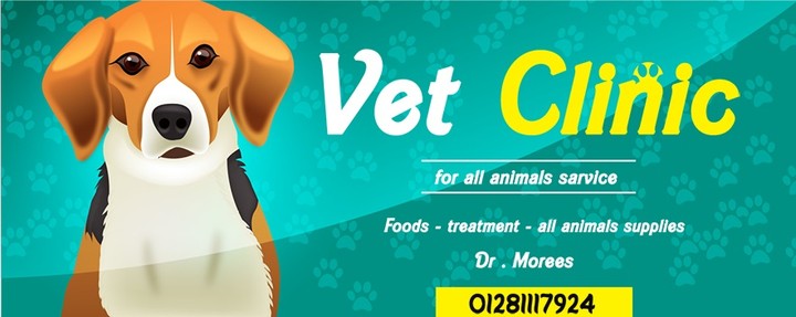vet clinic banner