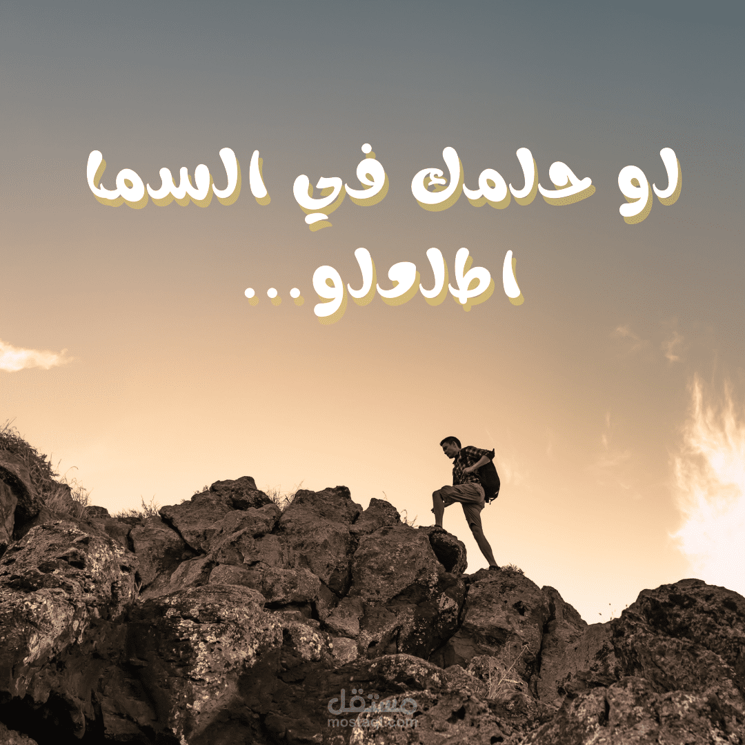 تصاميم