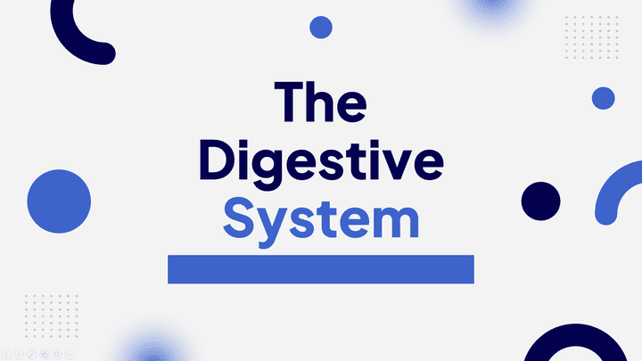 Digestive System