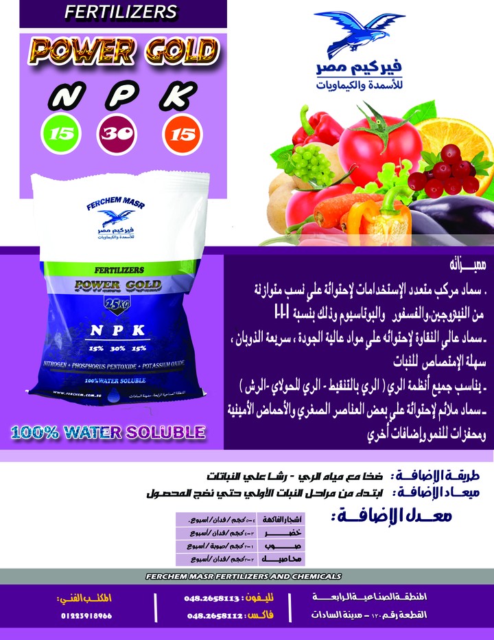 flyer- فلاير