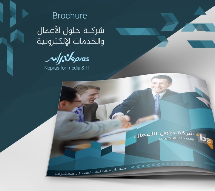 Business Solution Co. Brochure