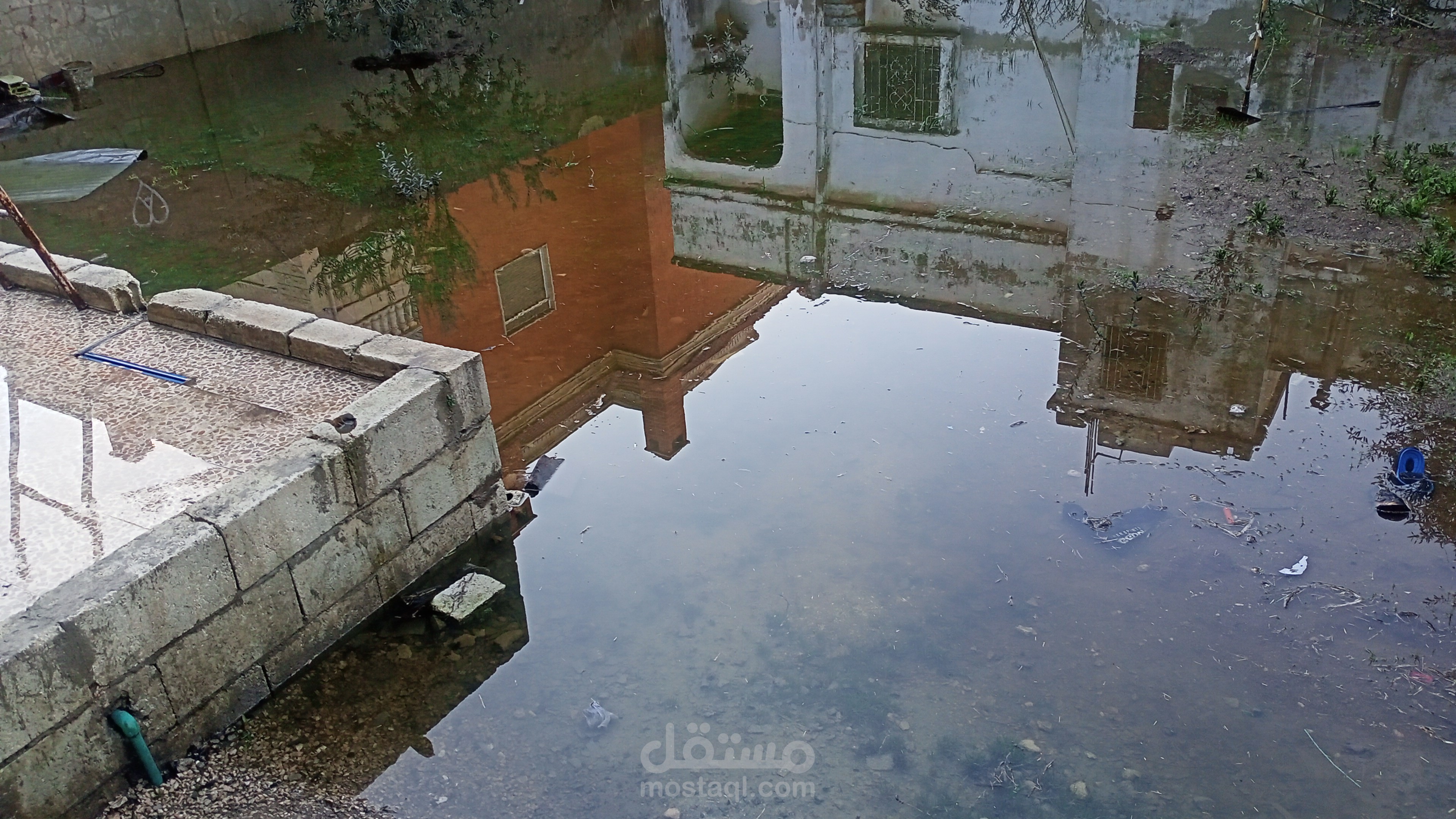 شعريات