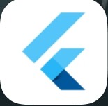 Flutter developer