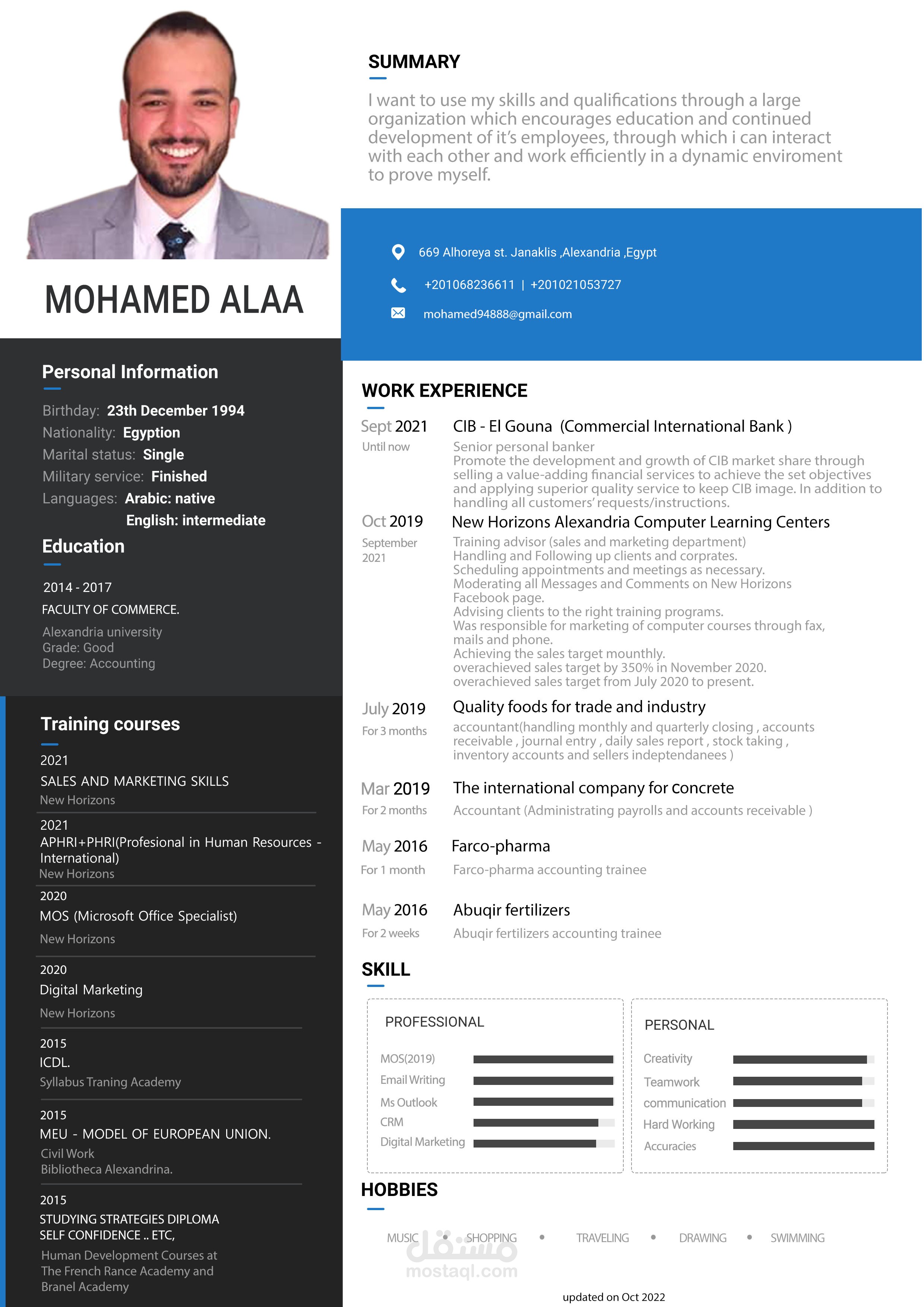 Professional CV | مستقل